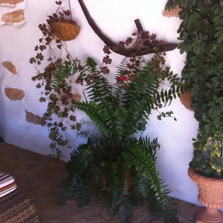 Casa Abuelo Rafael Country house